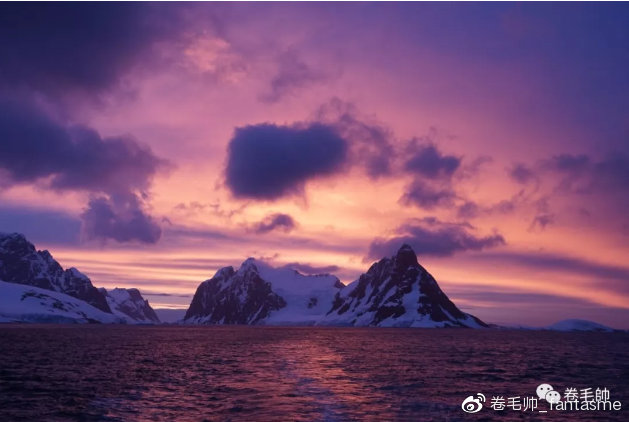 央央：大女主形象没头脑人设