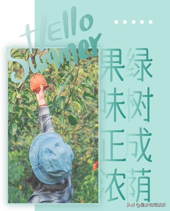 长沙小水果之乡,湖南长沙宝藏打卡地