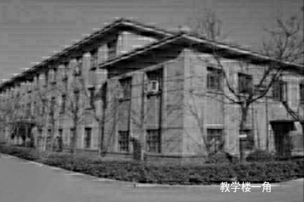 泰山中学回忆,山东中学排球