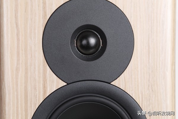 低频更强立马有感：试听DynaudioEvoke50
