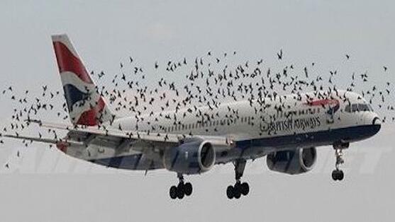 911空难事件是什么飞机,盘点空难911事件