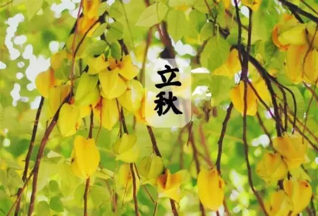 关于立秋的重要事,立秋关于立秋你知道多少