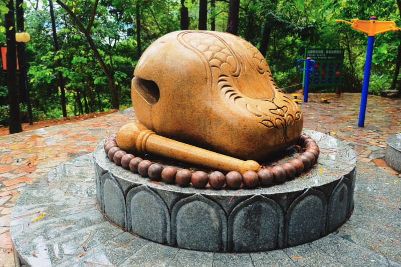 云浮南山森林公园锦鸡,云浮南山森林公园航拍