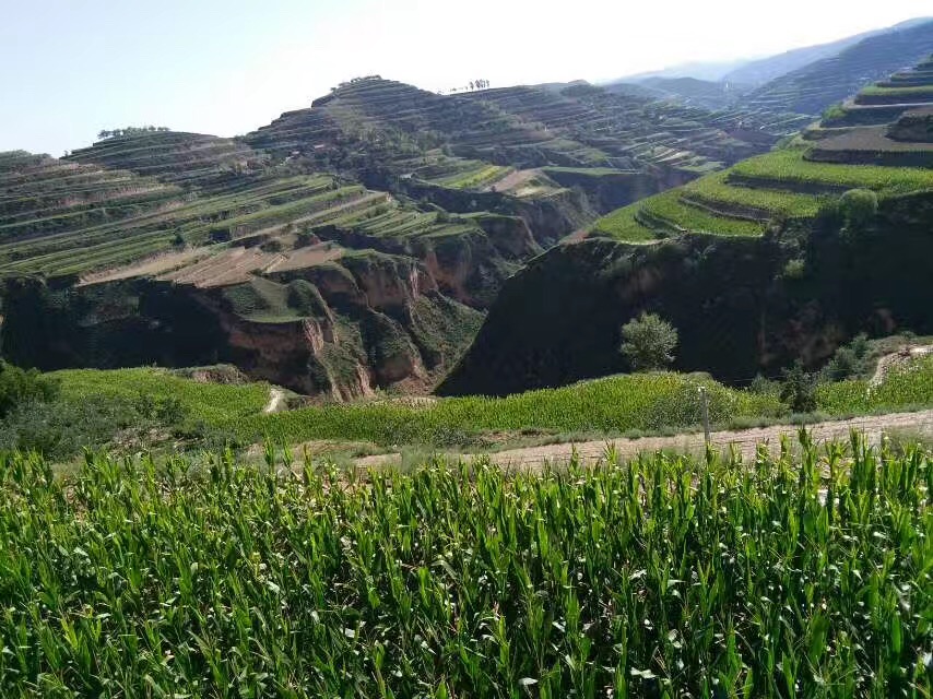 天下第一黄土高原,天下第一黄土高原是哪里