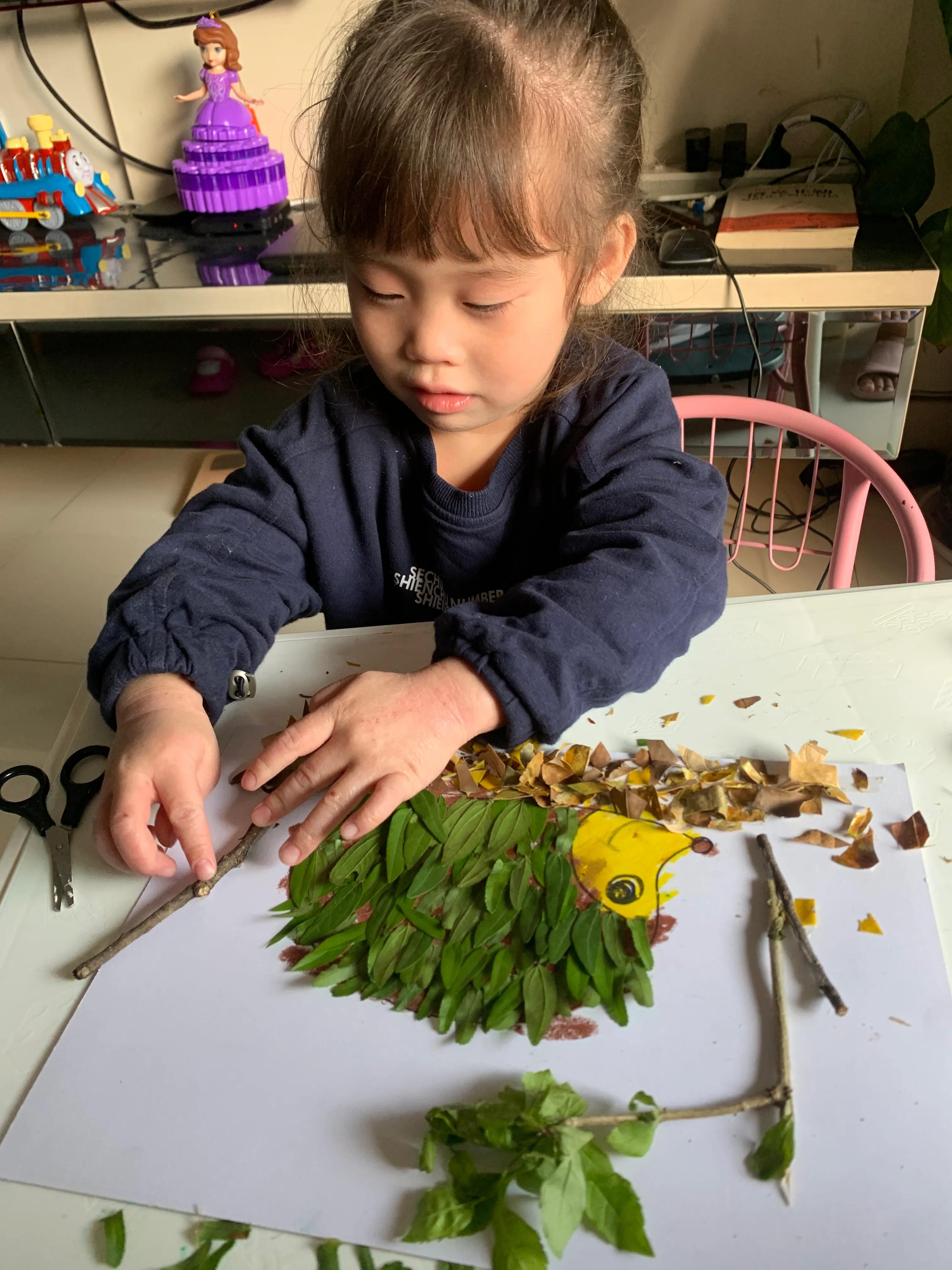 用树叶和花朵做一幅美丽的画,用银杏树叶做一幅简单漂亮的画