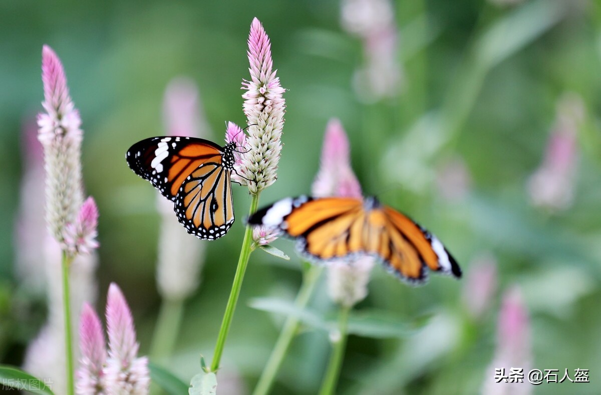 我的大姨,大姨的关心和妈妈的疼爱一样