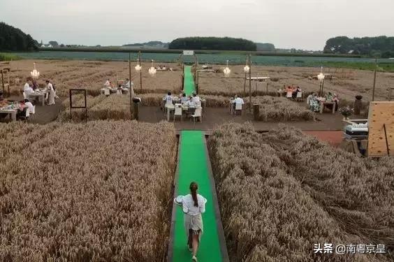 湘颂稻田里的盛宴团购套餐,湘颂稻田里的盛宴侨鑫店四人餐