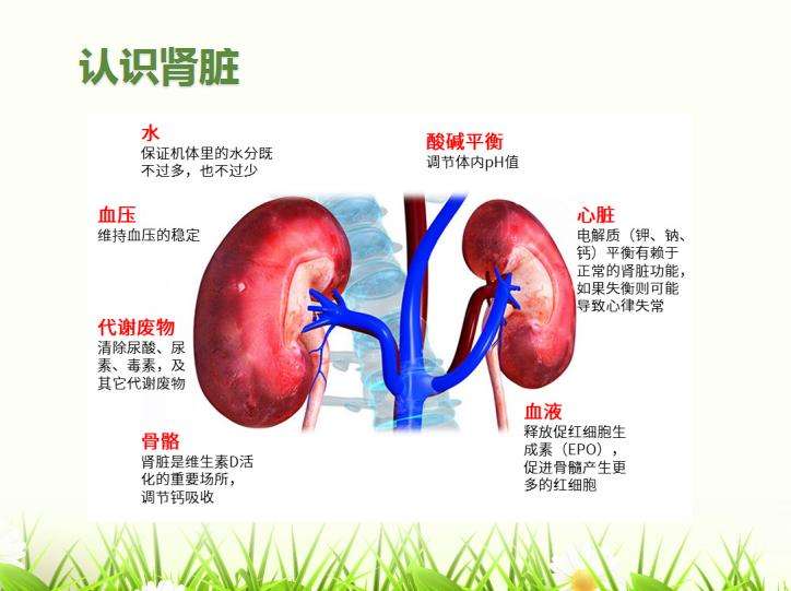慢性肾脏病的早期防治,中国慢性肾脏病发病率