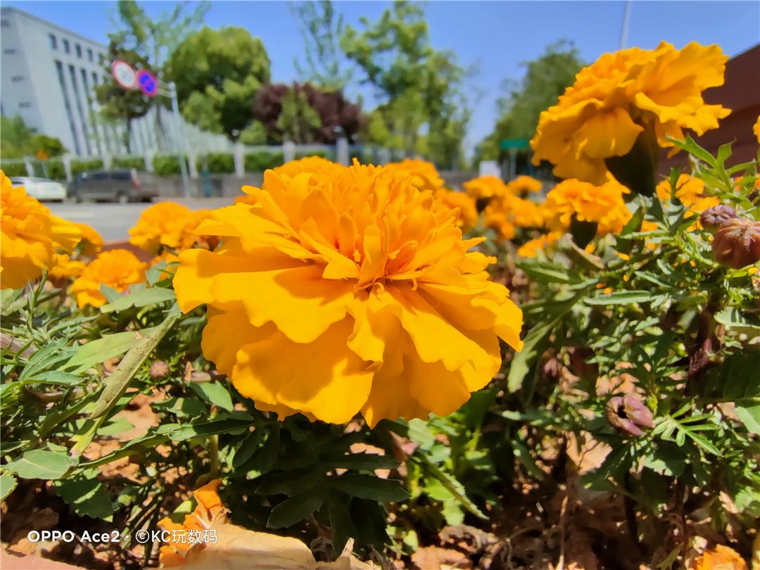 185g配备地表最强快充OPPOAce2值得买吗?