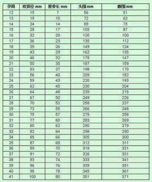 不同孕期胎儿大小标准,不同周数胎儿股骨长度对照表