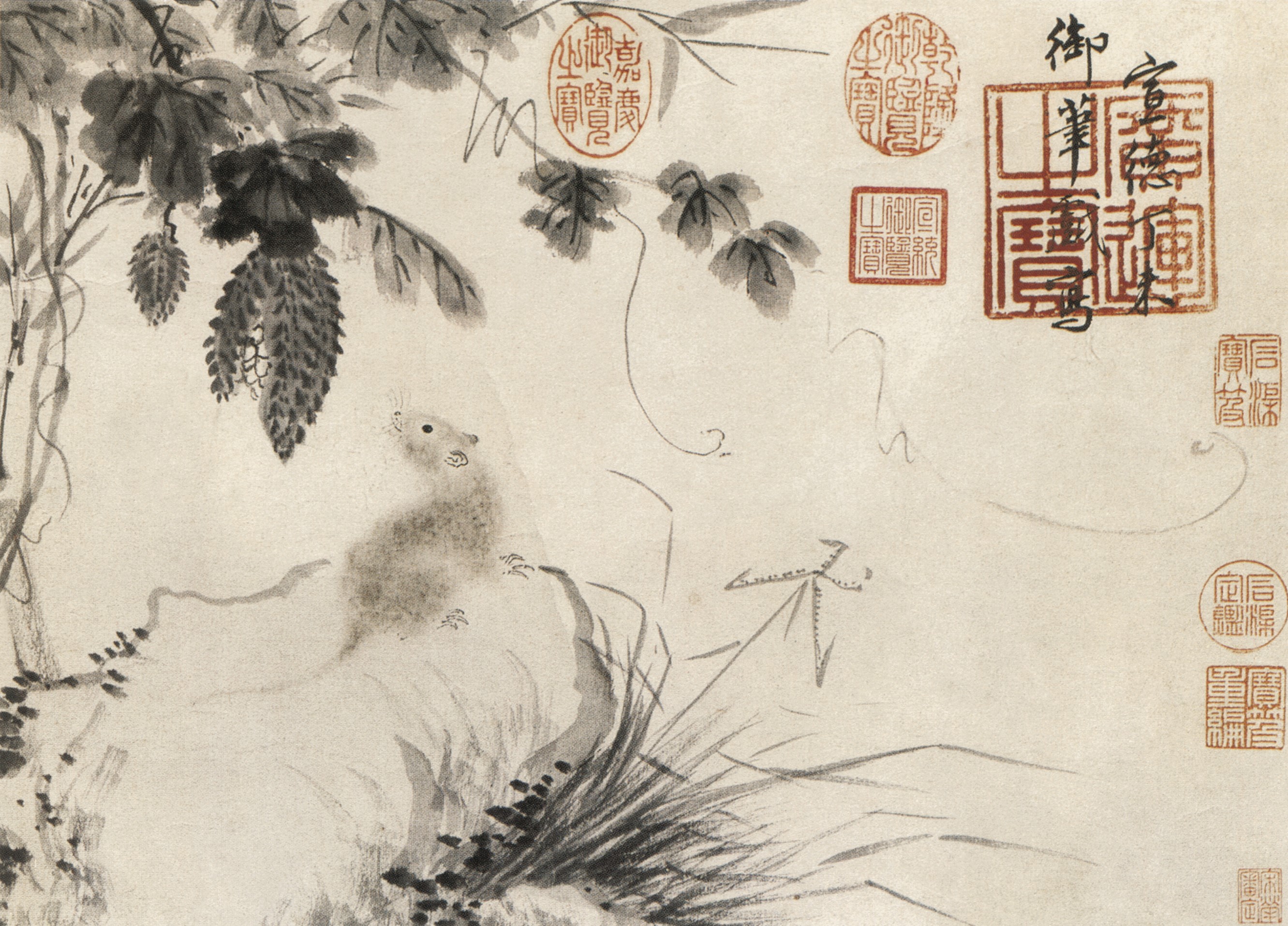 范美俊花鸟作品欣赏,范美俊书画作品欣赏