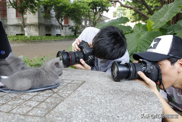 什么是摄影工作,职业摄影师和专业摄影师的区别