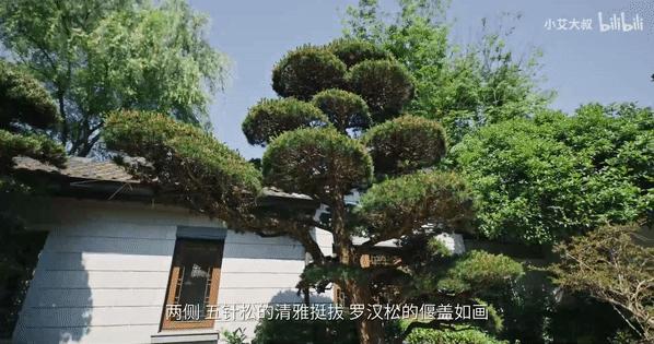 1.68亿豪宅,10亿一套的顶级中式豪宅