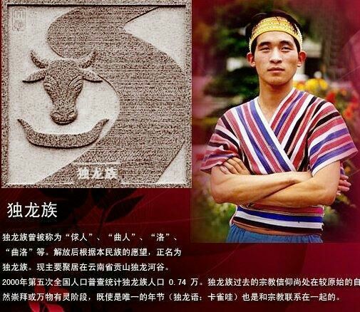 中国五十六个民族的服饰,56民族图腾图