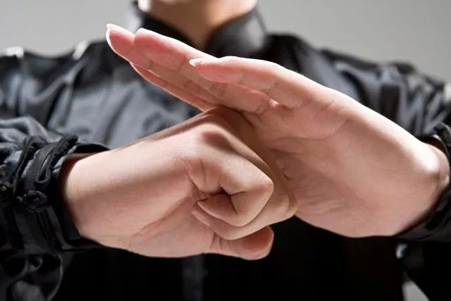 武术礼节有什么寓意,武术同道见面礼节