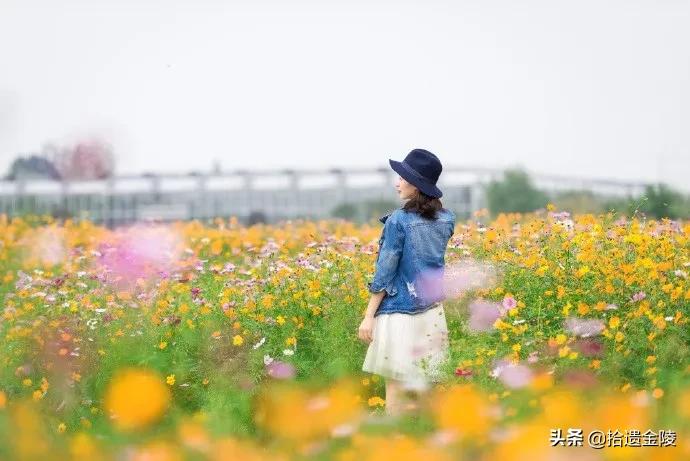 2019中国最美县域榜单,江宁县是百强县吗