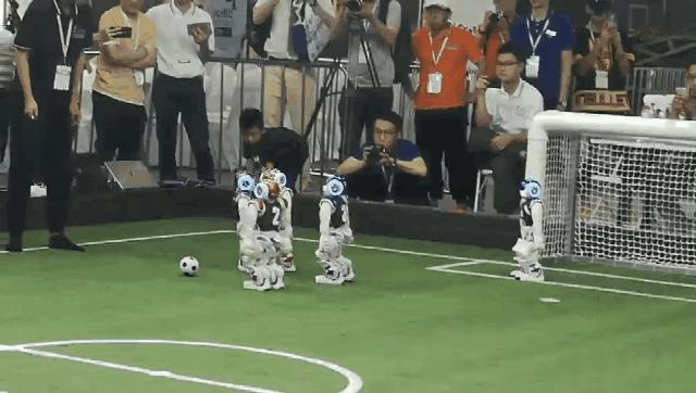 今天去这里的天津人都被逗乐了！没去的快看！