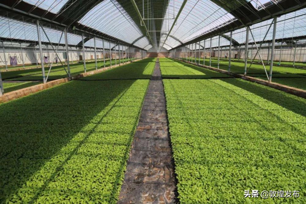 沁源县脱贫攻坚纪实,鄂托克前旗德善