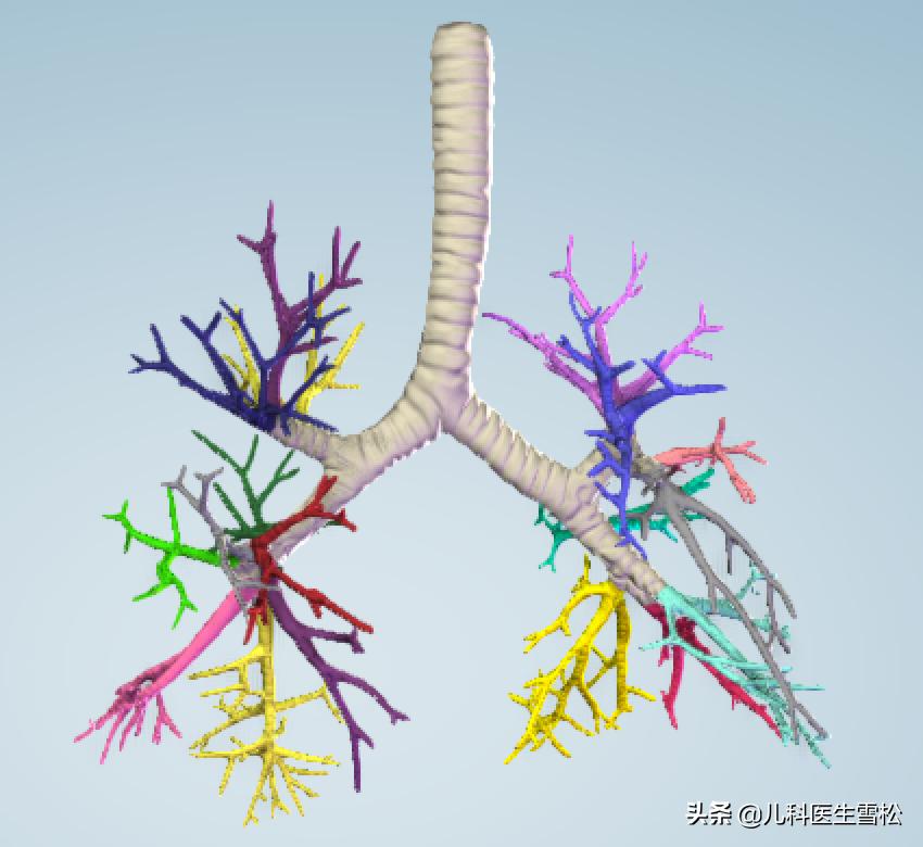 宝宝双肺声音粗是怎么回事,肺炎后呼吸音粗是怎么回事