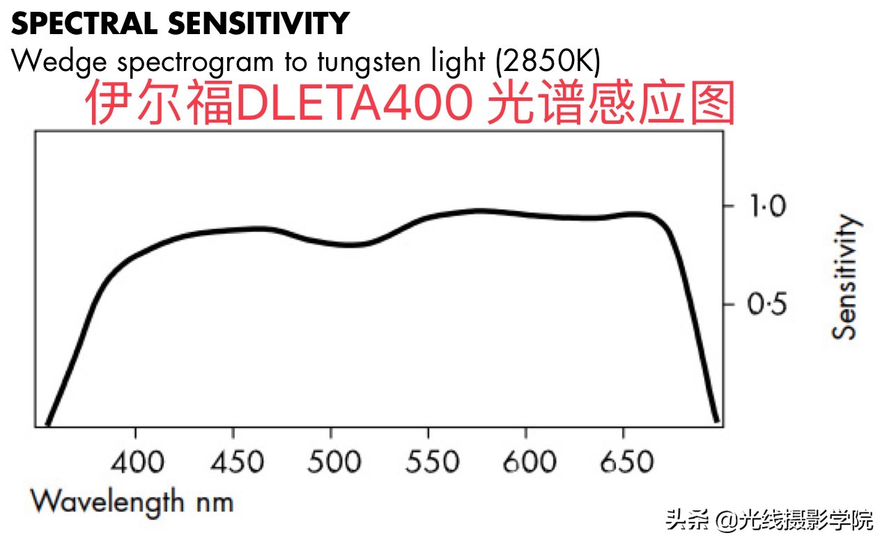 伊尔福黑白胶卷冲洗时间,适合新手的黑白胶卷