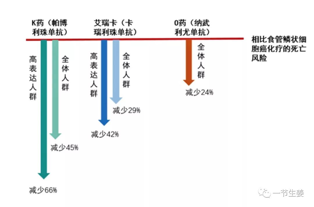 针对癌症免疫治疗有什么药物,免疫治疗食管癌视频