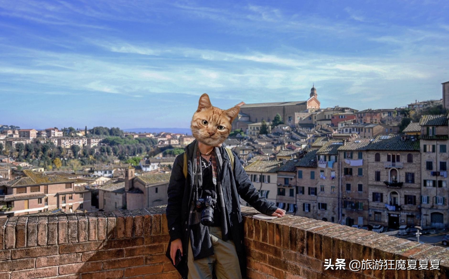 提拉米苏的发源地是哪,提拉米苏发源于哪个国家