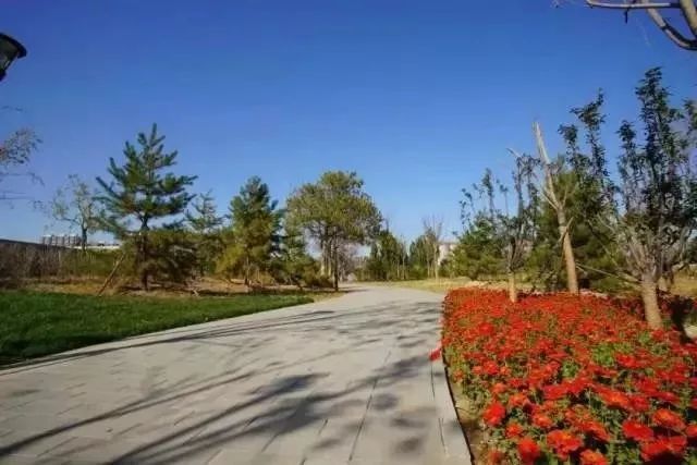 北京东五环新建公园大全,北京新开40个公园详细位置公布