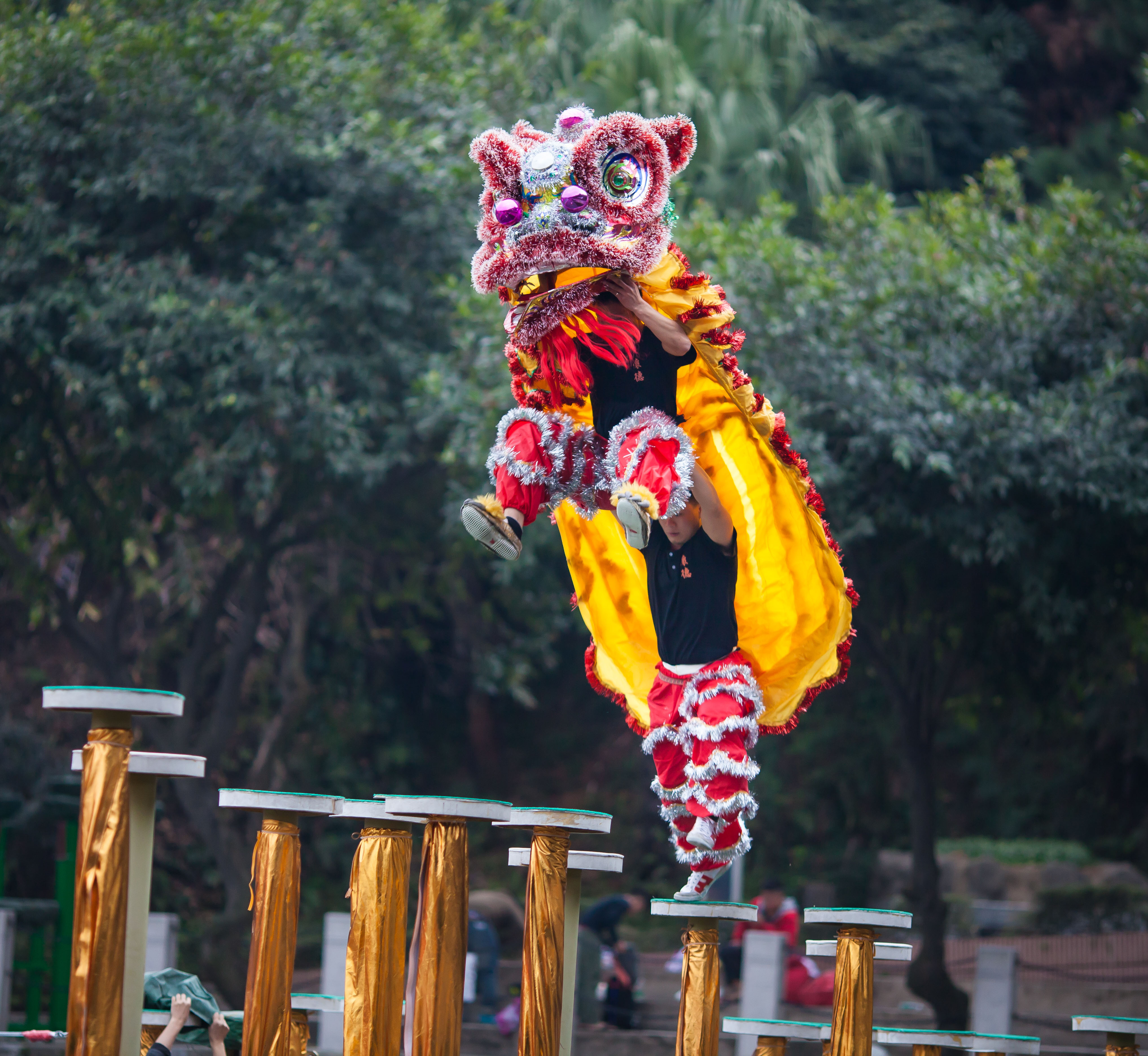 舞狮年年有余,小时候每逢过年都会看到舞狮表演