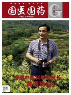 立德仁爱善济岐黄访中国工程院院士、中国中医科学院院长黄璐琦