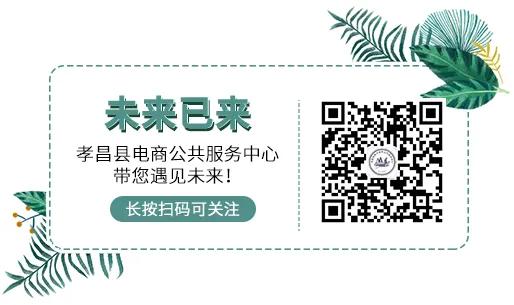 孝昌县电商扶贫示范企业,孝昌县电商企业有哪些