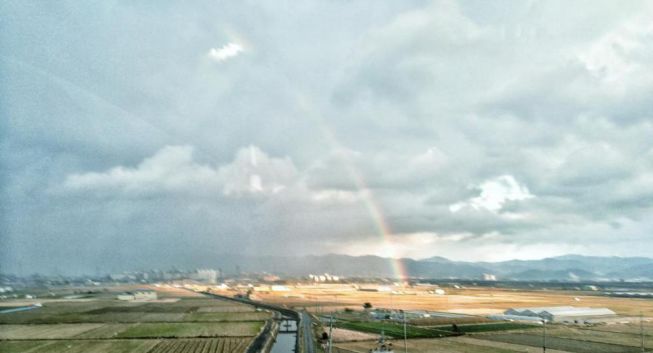 王思聪和李易峰关系有多好,王思聪和李易峰的区别