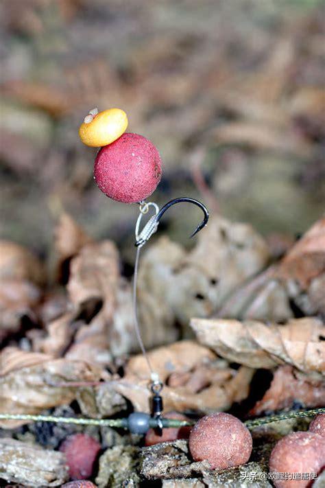 话说欧鲤钓最新消息,话说欧鲤钓鱼完整版