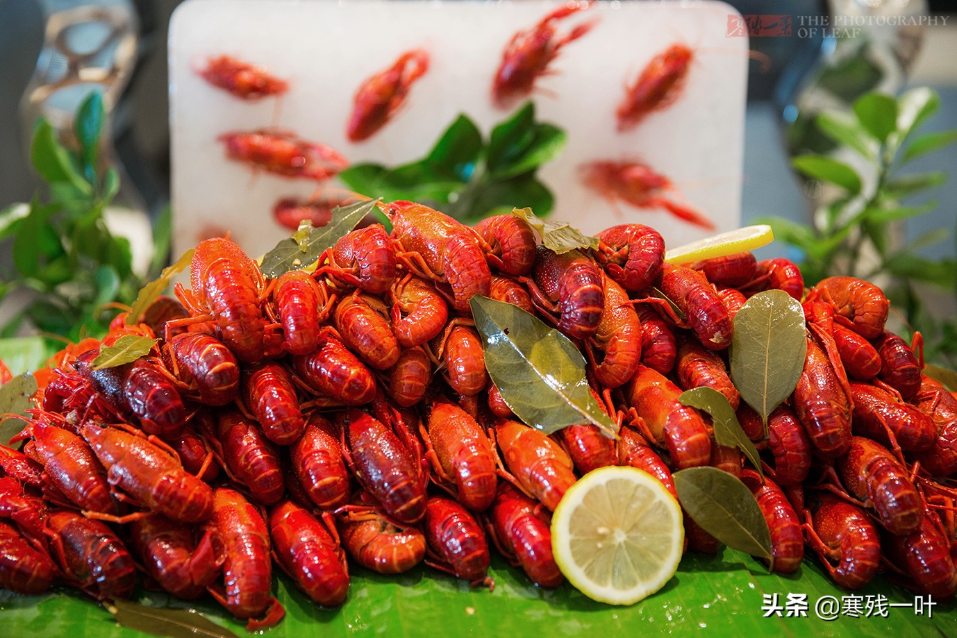 上海小龙虾自助15种口味,只要69元就可以随便吃小龙虾