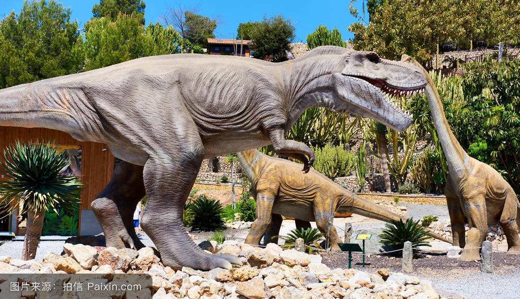 萨摩耶发现主人变成霸王龙,一只萨摩耶长大要打几针疫苗