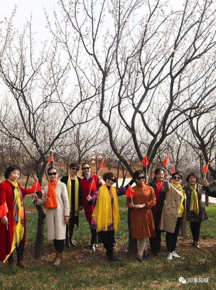 晋城哪里可以春游,晋城附近春游景点