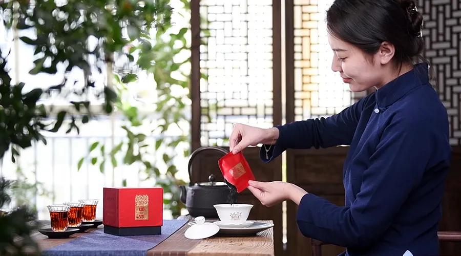 龙园茶业的现状,龙园茶业茶化石