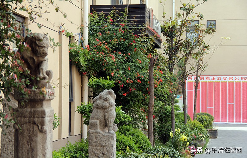 零基础美术生能逆袭上心仪的理想大学？西安丹青易考，了解一下