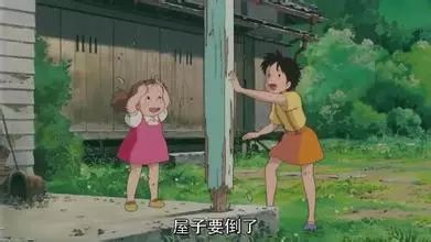 龙猫影评深度理解,龙猫的影评观后感