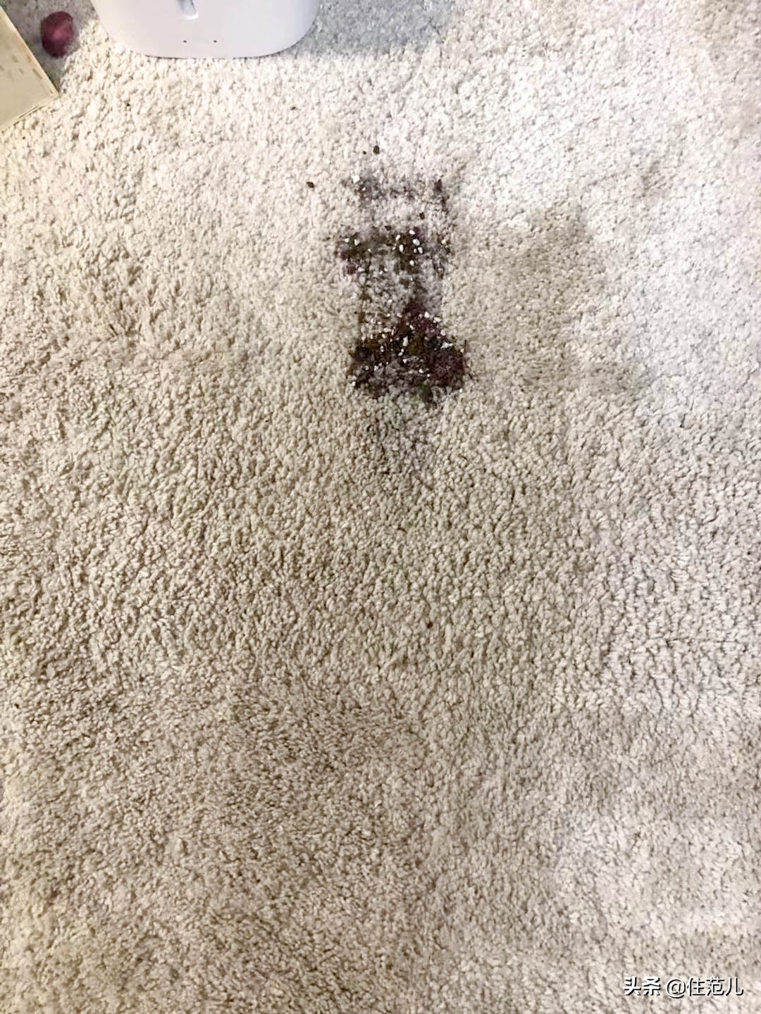 网红爆款戴森吹风机,戴森真的有用吗