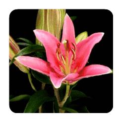 幸福一半争取一半随缘是什么意思,人生的幸福一半要争一半要随