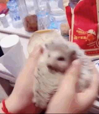 甭管啥就盘它,甭管什么东西盘它原版