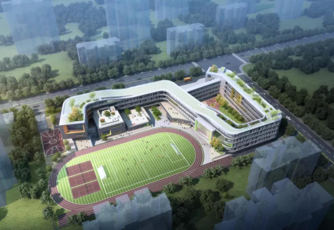 华丽转身！全面开挂！2020年这个区域涅槃重生！走上人生巅峰