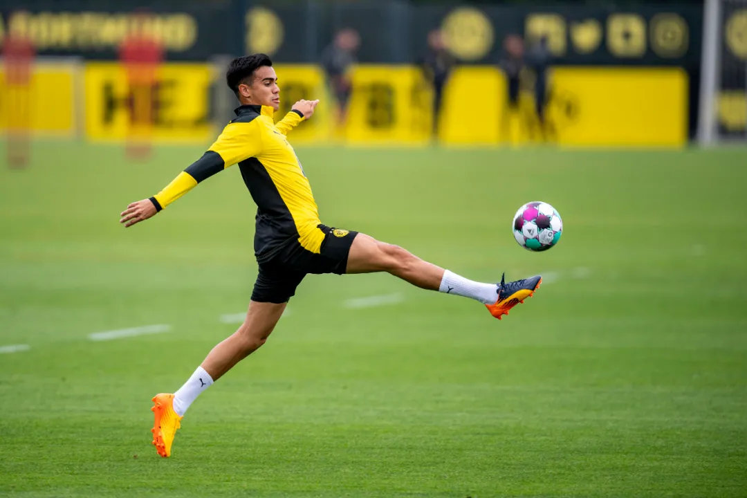 来了！“新卡卡”空降“黄黑幼儿园”