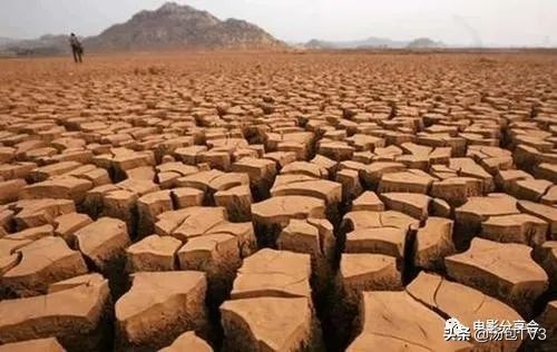 宅在家做什么系列丨7部与非洲有关的电影