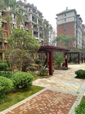 农村种植创业的项目小本生意,农村果树种植可行性