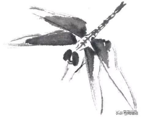 莲花和蜻蜓国画画法,飞行蜻蜓国画图片