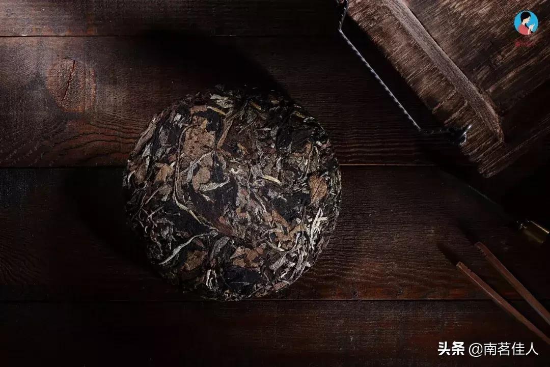 普洱茶生虫子还能喝吗,普洱茶有虫子怎么去除