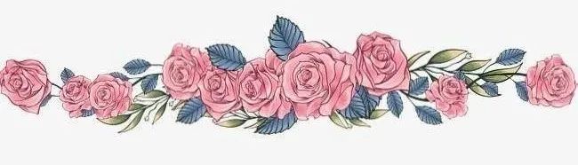 国外美妆产品推荐,全球公认最好用的美妆产品