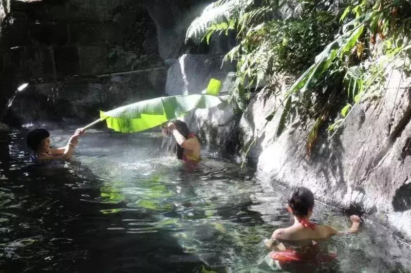 腾冲樱花谷景区,腾冲樱花谷