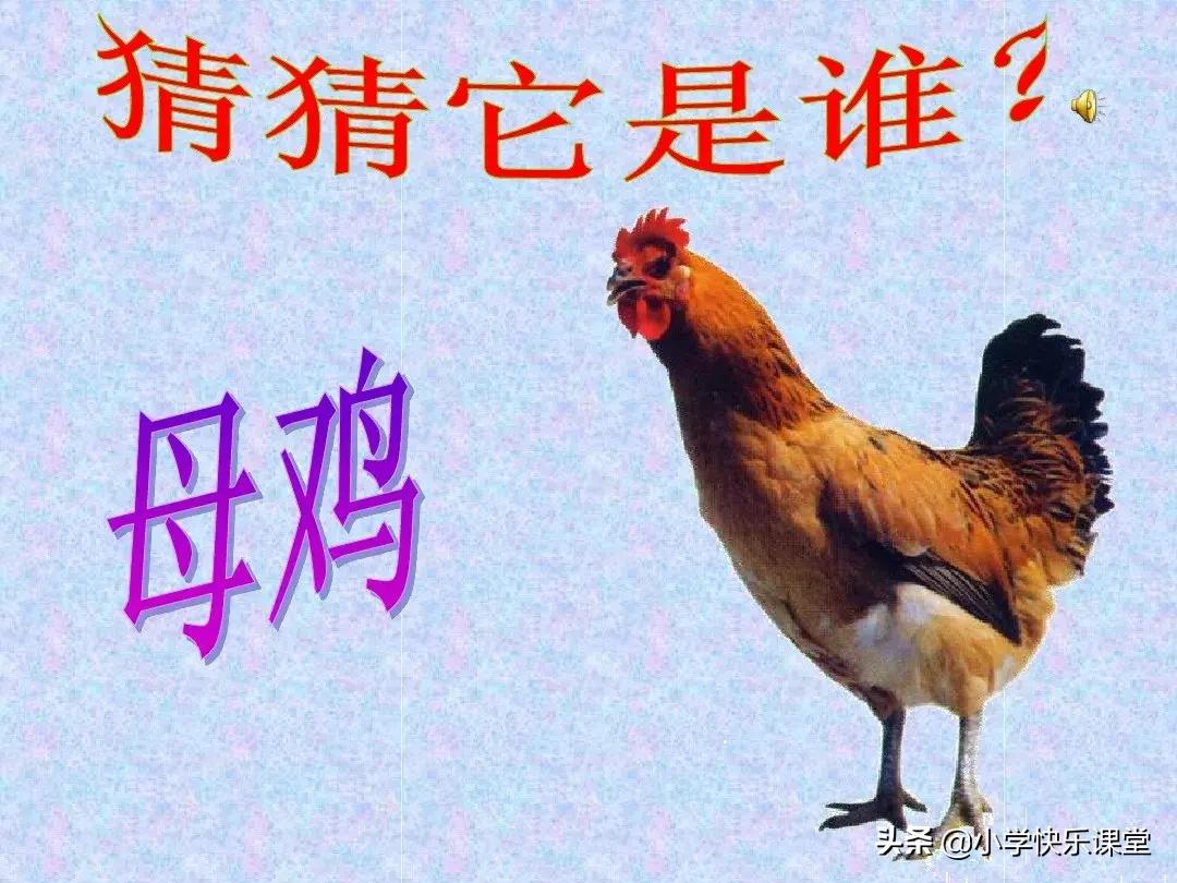 小学语文部编版一年级上册汉语拼音6《jqx》知识点+图文解读